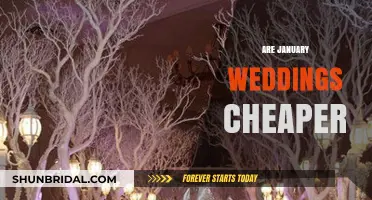 Winter Wedding Wonders: Cheaper to Marry in January?