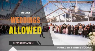 Weddings Without Limits: Large Celebrations Allowed