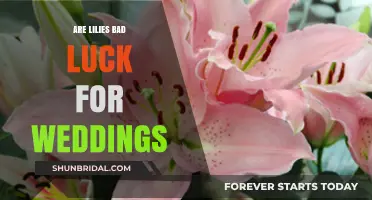 Lily Superstitions: Wedding Worries and Misconceptions