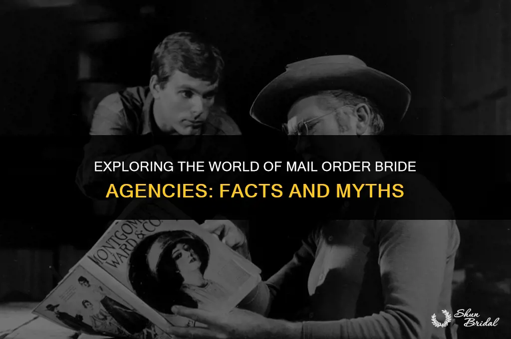 are mail order bride agency