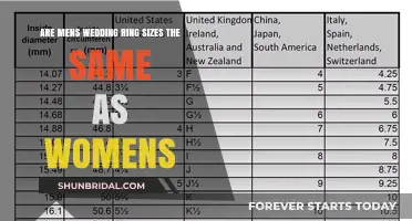 Wedding Ring Sizes: Gender Differences Explained