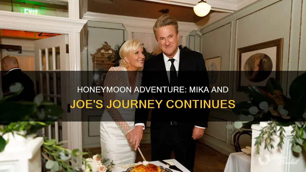 are mika and joe on their honeymoon