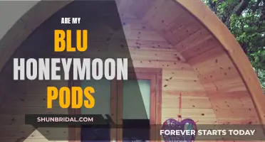 Are My Blu Honeymoon Pods Worth the Hype?