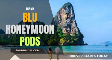 Blu Honeymoon Pods: Are They Worth the Hype?