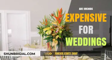 Orchids for Weddings: An Affordable Luxury?