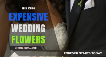 Orchids: Luxurious Wedding Flowers on a Budget?
