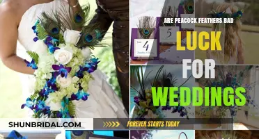 Peacock Feathers: Wedding Luck or Ill Omen?