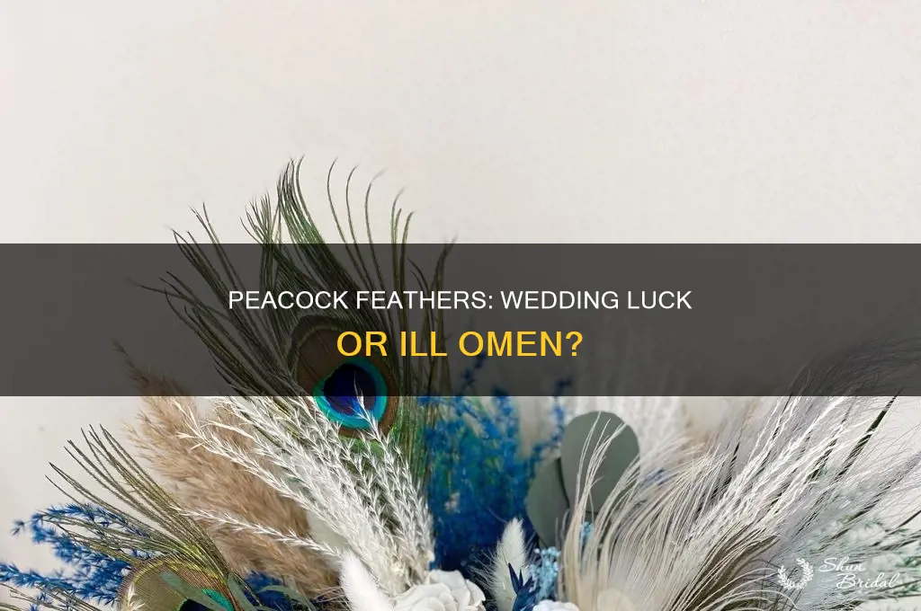 are peacock feathers bad luck for weddings