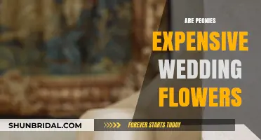 Peonies: Affordable Wedding Flowers or Expensive Luxury?