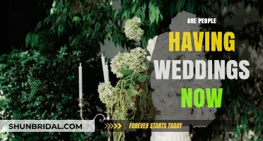 Are Weddings Back? Trends and Insights for Modern Celebrations