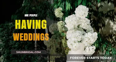 Are People Still Having Weddings? Trends and Insights in Modern Celebrations