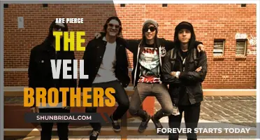 Are Pierce the Veil Members Brothers? Unraveling the Band's Family Ties