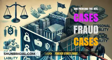 Piercing the Veil: Uncovering Fraud or Legitimate Corporate Shield?