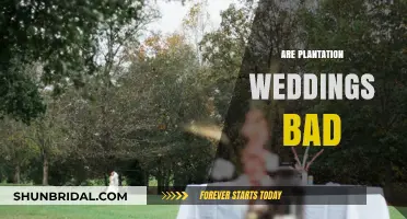 Plantation Weddings: Romantic or Racist?