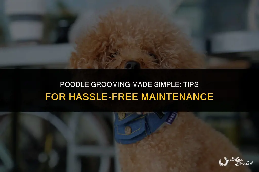 are poodles easy to groom
