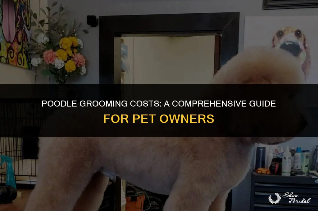 are poodles expensive grooming