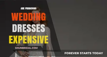 Pronovias Wedding Dresses: Worth the Price Tag?
