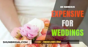 Ranunculus for Weddings: An Affordable Option?
