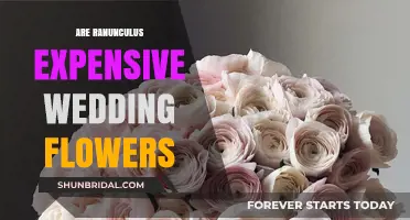 Ranunculus Wedding Flowers: Affordable or Extravagant?