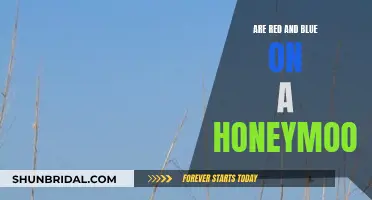The Adventures of Red and Blue's Honeymoon