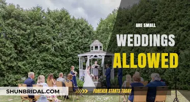 Small Weddings: Intimate, Allowed, and Awesome