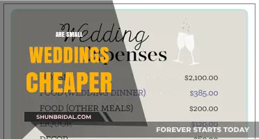 Small Weddings: Cheaper or Expensive Affair?