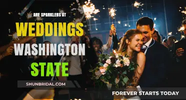 Washington State Wedding Sparklers: What's Allowed?