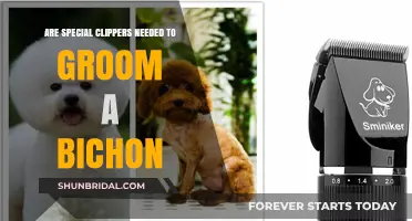 Bichon Grooming Essentials: Do You Really Need Special Clippers?