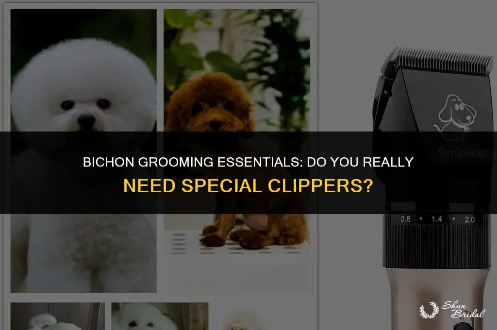 are special clippers needed to groom a bichon