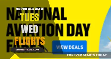 Spirit Sales: Tuesdays and Wednesdays, the Best Days to Fly