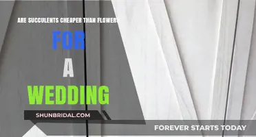 Succulents vs. Flowers: Wedding Cost Comparison