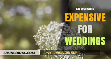 Succulents for Weddings: An Affordable, Modern Choice
