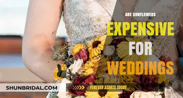 Sunflowers for Weddings: Affordable or Pricey?
