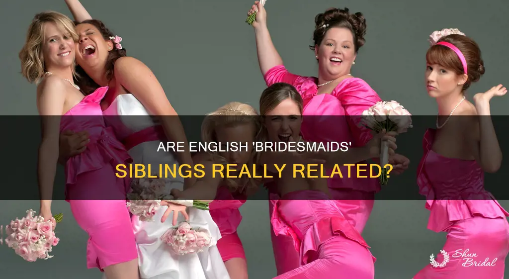 are the english brother and sister on bridesmaids really related