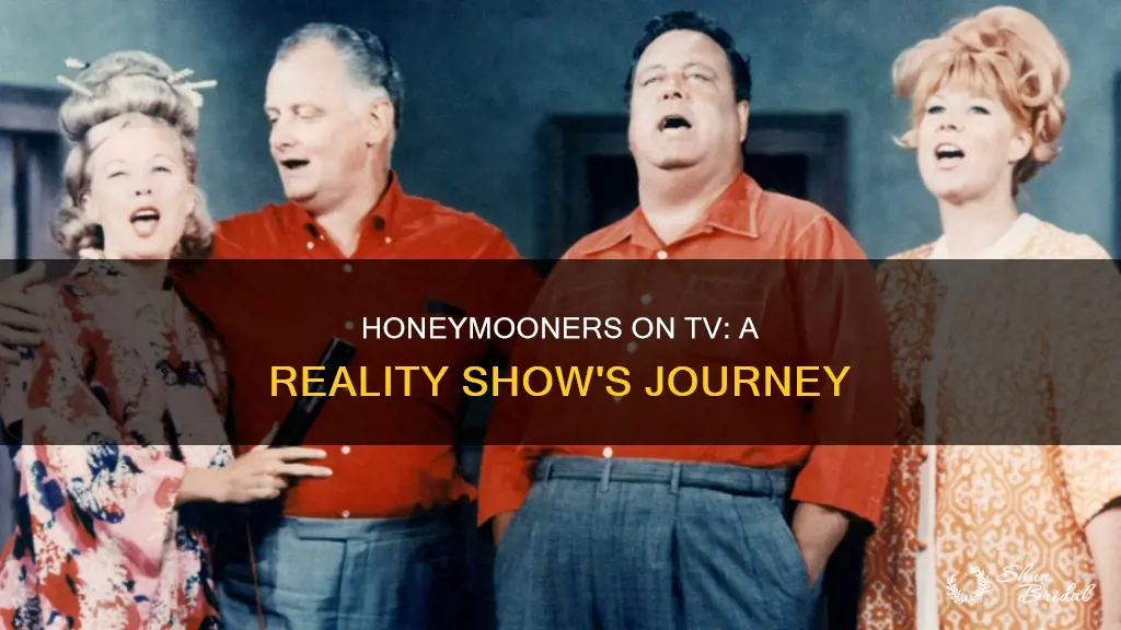 are the honeymooners on tv