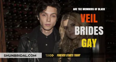 Unveiling the Truth: Black Veil Brides Members' Sexuality Explored