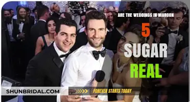 Maroon 5's "Sugar" Weddings: Real or Fake?