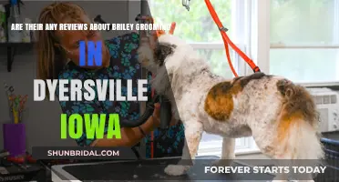 Unveiling the Truth: Briley Grooming Reviews in Dyersville, Iowa