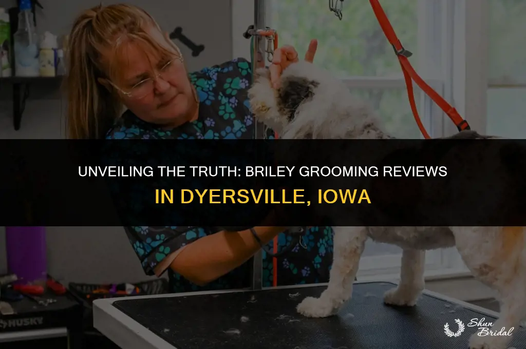 are their any reviews about briley grooming in dyersville iowa
