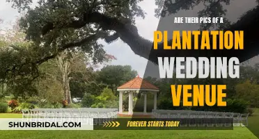 Plantation Wedding Venue: Picture-Perfect or Problematic?