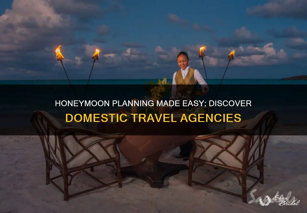 are there agencies that help travel for domestic honeymoons