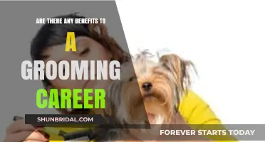 Exploring the Rewards: Is a Grooming Career Right for You?