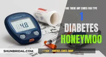 The Elusive 'Honeymoon' Phase: Exploring Type 1 Diabetes Treatment Options