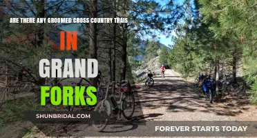 Exploring Grand Forks: Groomed Cross-Country Trails Await