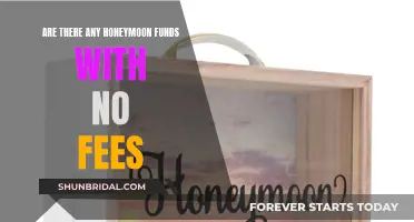 Honeymoon Funds: Free Options for Newlyweds to Consider