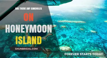 Exploring Honeymoon Island: Uncovering the Truth About Sinkhole Rumors