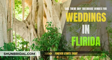Treehouse Wedding Venues in Florida: A Dream Come True