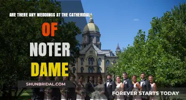 Notre Dame: Weddings and a Cathedral's Legacy