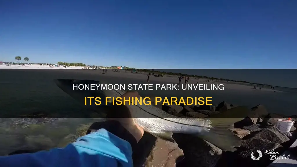 are there fishing areas in honeymoon state park