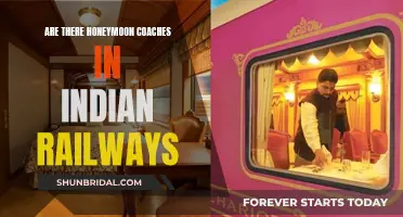 Honeymoon Train: Exploring India's Romantic Railway Journey